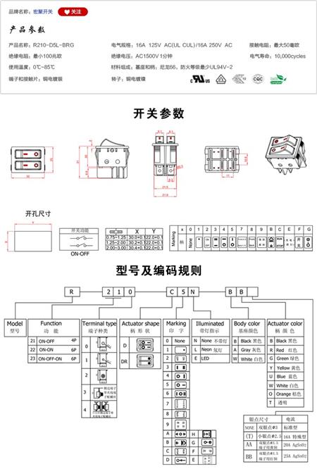 R210-D5L-BRG船型开关参数尺寸.jpg