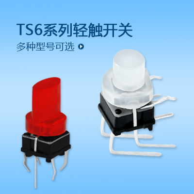 带灯轻触开关TS6系列